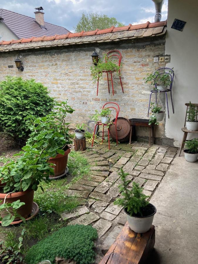 Nantucket Guesthouse Vrbas المظهر الخارجي الصورة
